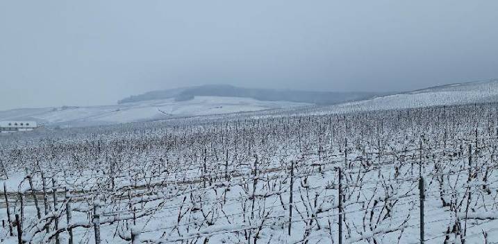 L'hiver en Champagne