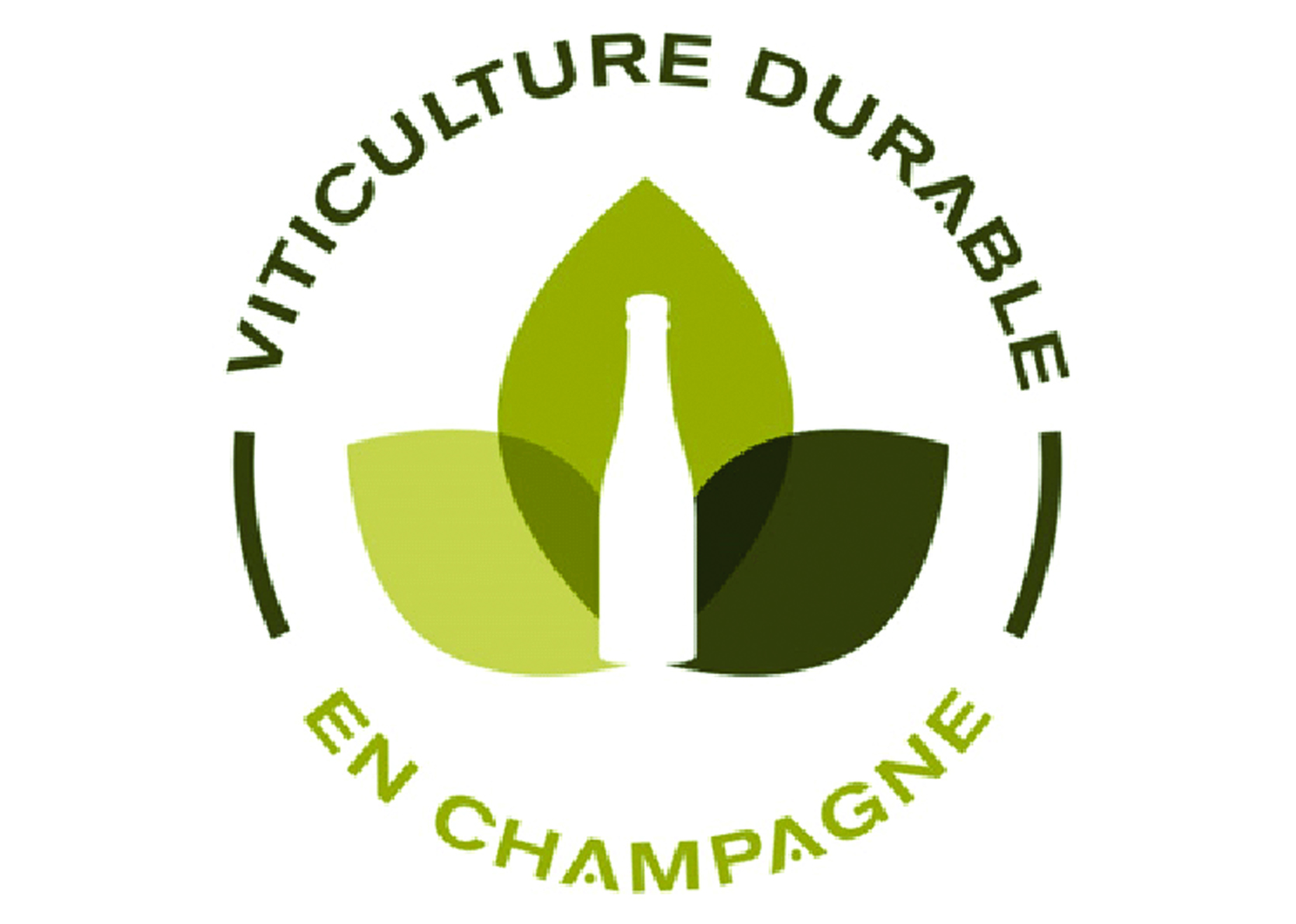 Champagnes en Viticulture Durable en Champagne | GRANDE CUVEE