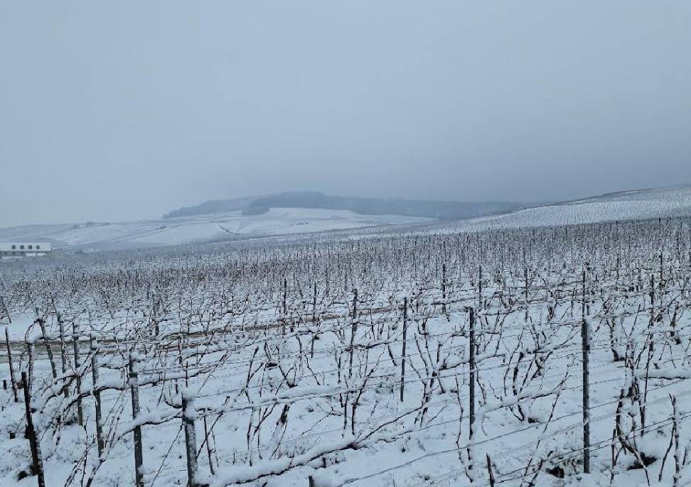 L'hiver en Champagne