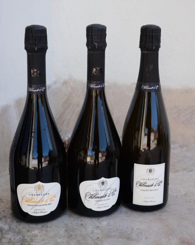 Première dégustation pour 2024…🥂

Avec la Maison de Champagne Vilmart & Cie ! 

Découverte des 3 cuvées Grand Cellier d’Or 2016, Grand Cellier et Grande Réserve 🍾

Entre gourmandise, fraîcheur et minéralite, ces 3 cuvées très différentes les unes des autres sauront séduire de nombreux palais…

Pour en découvrir plus, rdv sur notre site (lien en bio)