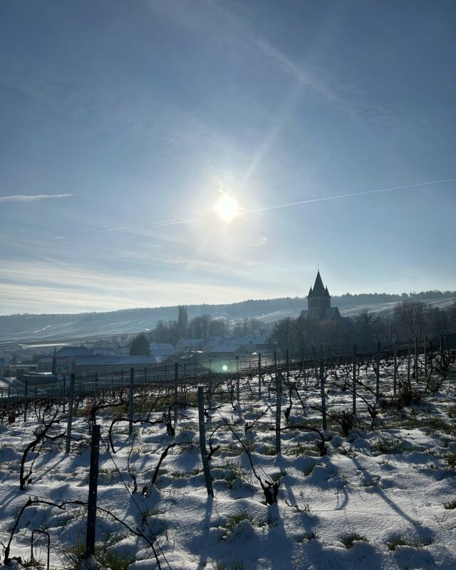 Champagne de cœur au cœur de la Champagne… 🫶🏻

Tout au long de l’année, la Champagne nous offre des paysages variés, tout aussi beaux et inspirants les uns que les autres ! 

Une région de naissance mais surtout de cœur pour nous ! En particulier quand on a la chance de profiter de cette superbe vue à Ville-Dommange la semaine dernière 😍

#champagne #paysagedechampagne #champagnelovers💞 #paysage #photooftheday #photochampagne #reims #villedommange #vueincroyable
