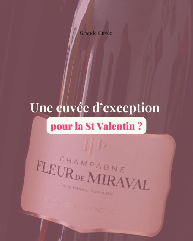 Pour une soirée exceptionnelle…💕

Sélectionnez une cuvée exceptionnelle ! Et si on peut vous donner un conseil, celle-ci sera parfaite : 

Champagne @fleurdemiraval Rosé ! 🍾

🌸 À l’œil, une robe rosée, 
🍓au nez, des notes de fruits rouges, 
💧en bouche, des notes minérales, salines et iodées
 rappelant l’identité des grands terroirs crayeux.

Rien de mieux pour impressionner votre moitié et accompagner votre dîner de St Valentin ✨

👉🏻 À retrouver sur le E-Shop (lien en bio) 

#champagne #champagnedexception #fleurdemiraval #champagnefleurdemiraval #champagnerose #rosé #champagnelovers💞 #stvalentin #stvalentinesday❤️