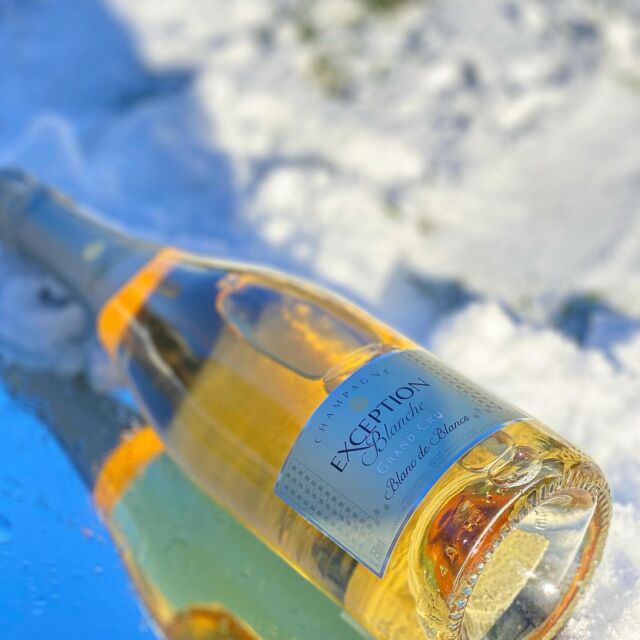« Elégance glacée avec ce Blanc de Blancs de la Maison Exception Blanche. Une bouteille scintillante reposant sur un miroir givré, capturant la magie hivernale avec des reflets étincelants dans la neige. » ✨❄️ 

🍇 : 100% chardonnay 
📍 : Montagne de Reims et Côte des Blancs 

➡️ Pour acheter la cuvée : rdv en bio ! 

« L’abus d’alcool est dangereux pour la santé, à consommer avec modération ! »

———————————————-

”An icy elegance with Blanc de Blancs cuvée from Exception Blanche. A sparkling bottle resting on a frosted mirror, capturing the winter magic with glistering reflections in the snow. ”

#exceptionblanche #champagnelovers💞 #wintercheers #snowreflections❄️ #champagnemagic #winterwine #luxurysip #snowserenity #sparklingmoments #wineenthousiast #celebrationtime #bubblybliss #mirrormagic #winterwonderwine #chillandchampagne #blancdeblancs #grandecuvee #wintermood