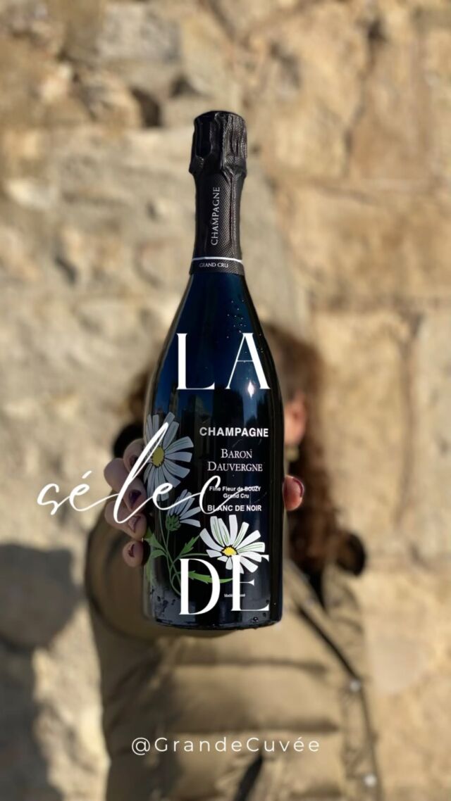 Célébrons l’amour avec une sélection de champagnes spécialement choisie par Juliette pour la Saint-Valentin. Des bulles pétillantes pour accompagner chaque moment magique. 🥂💖

@barondauvergne 
@champagne_cazals 
@champagne_william_saintot 
 #champagnevoirindesmoulins 

Quel champagne choisissez-vous pour rendre votre Saint-Valentin encore plus mémorable ? 🌹🥂 

➡️ rdv en bio 

#champagnelovers💞 #champagne #champagnebarondauvergne #reims #champagnecazals #champagnewilliamsaintot #champagnevoirindesmoulins