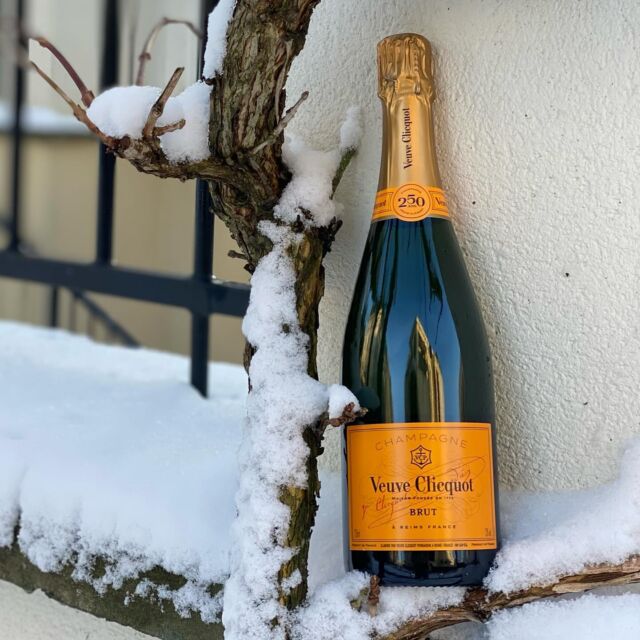 CUVÉE OF THE WEEK ✨❄️

Focus sur la cuvée incontournable de la Maison @veuveclicquot : La cuvée Brut Carte Jaune - Yellow Label. 🍾
Une cuvée qui ajoute une dose supplémentaire de soleil à votre table ! Offrez vous des instants ensoleillés avec un verre de Veuve Clicquot, pendant que les journées deviennent plus fraîches et que le soleil d’hiver se retire plus tôt ! 

Une cuvée fraîche et soyeuse, des notes de fruits blancs et jaunes et des arômes de viennoiserie…✨🥂

➡️ Pour acheter la cuvée ou d’autres cuvées de la Maison : rdv en bio ! 

« L’abus d’alcool est dangereux pour la santé , à consommer avec modération » 
______________________
🇬🇧

Focus on the must-have cuvée from the House of @veuveclicquot : The Brut Carte Jaune- Yellow Label cuvée. 🍾
A cuvée that adds an extra dose of sunshine to your table! Treat yourself to sunny moments with a glass of Veuve Clicquot, while the days get cooler and the winter sun retreats earlier! 

A fresh, silky cuvée, with notes of white and yellow fruit and pastry aromas...✨🥂

➡️ To buy the cuvée or other cuvées from the House: go to the organic section!

#veuveclicquot #champagne #champagnelovers #ChampagneWinterMagic #VeuveInSnow #BubblySnowscape #WinterWineMoments #VeuveClicquotChill #VeuveElegance #ChampagneLuxury #GoldenBubbles #ChicClicquot #CelebrationEssentials #ChampagneLife #Solaireculture #LiveClicquot
